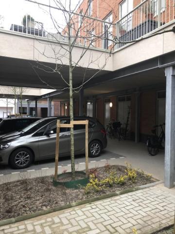 Benb Op De Trans, Arnhem Op Zijn Best! Dış mekan fotoğraf